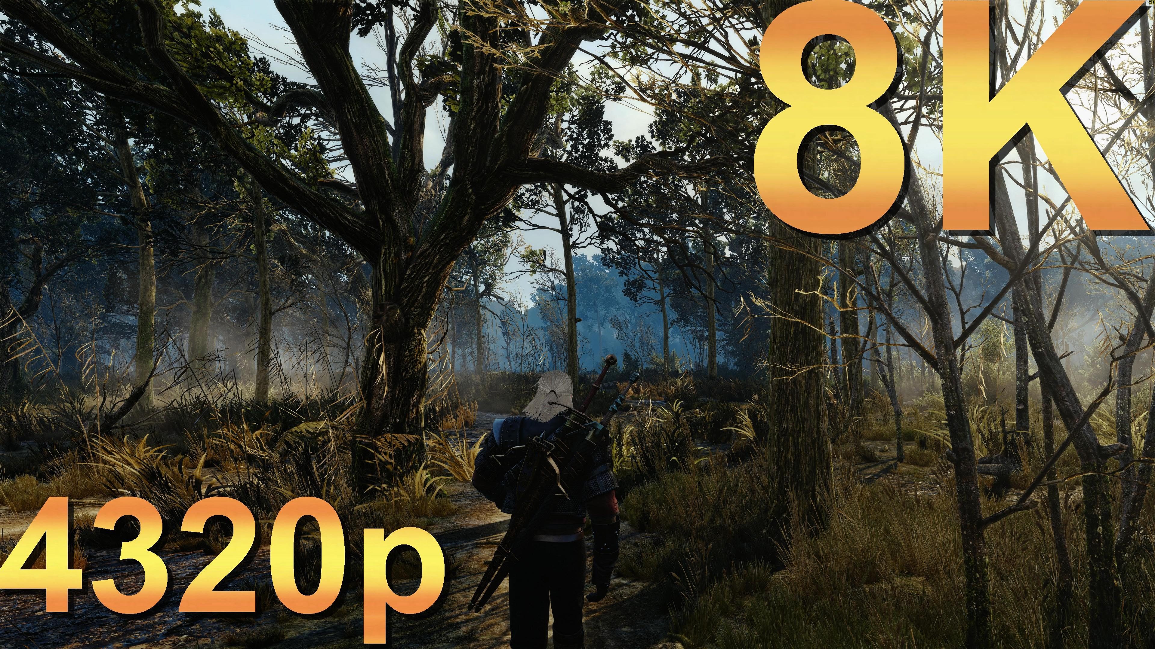The Witcher 3: Wild Hunt, 8K çözünürlük ve 60 FPS ile kusursuz görünüyor