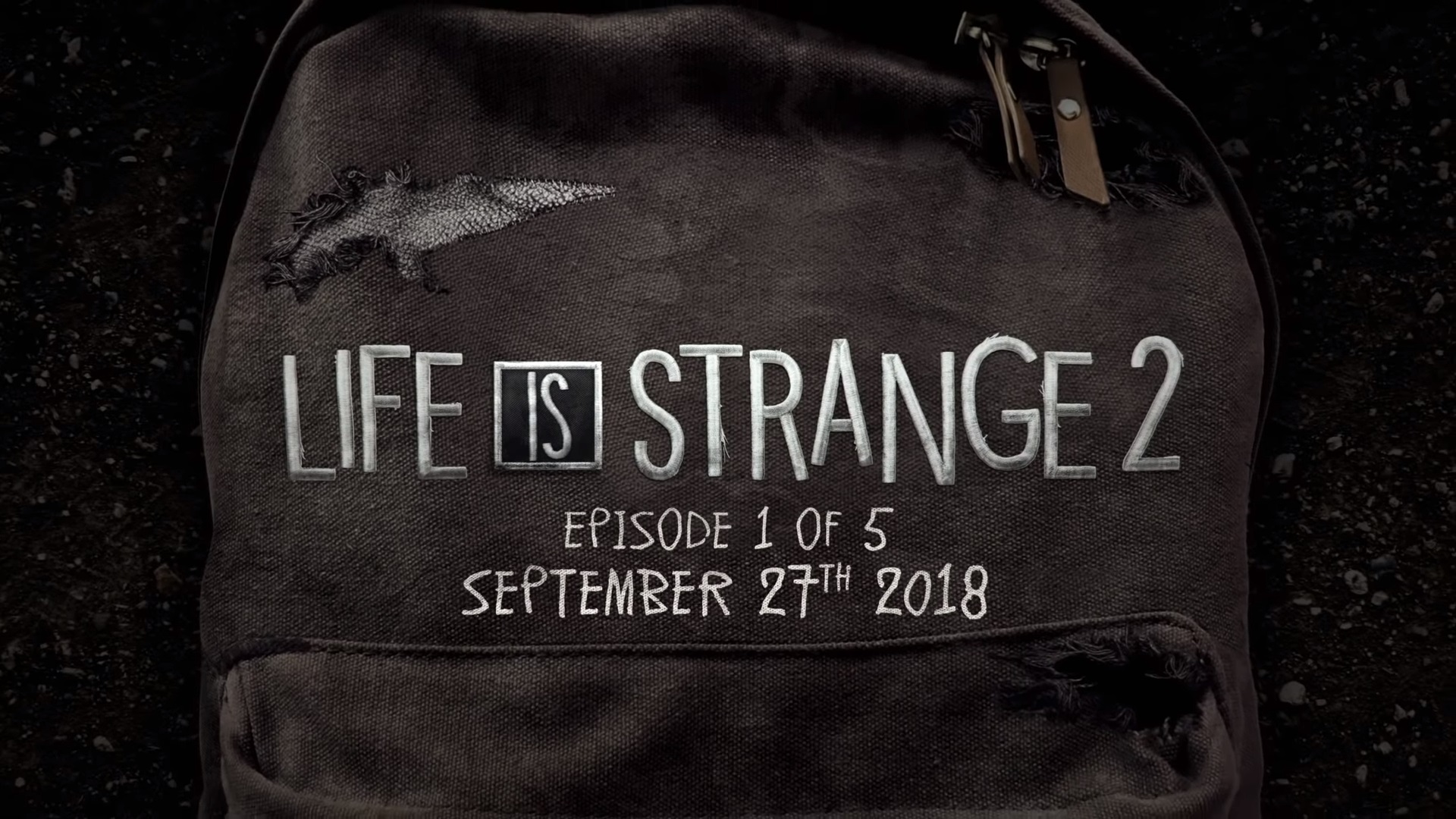 Life is Strange 2 için resmi çıkış tarihi bir fragman ile duyuruldu