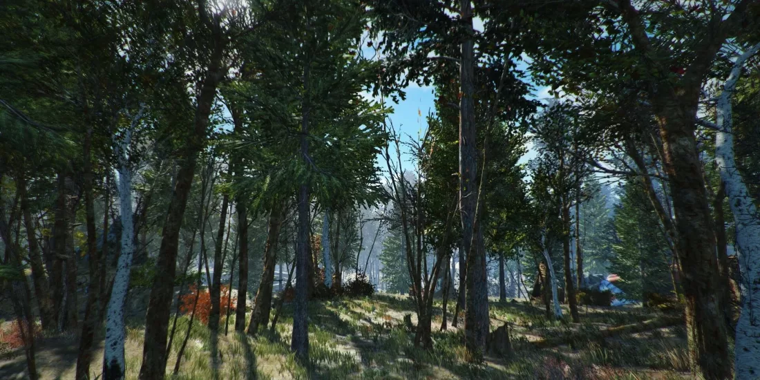 Fallout 4 HD doku paketi ile birlikte oyuna 10.000 ağaç ekleniyor